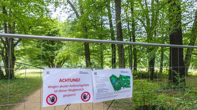 Bild: Wegsperrung: Fast alle Wege im Branitzer Innenpark wieder geöffnet