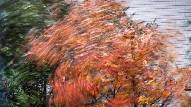 Bild: Herbstwetter: Stürmisches Wochenende erwartet