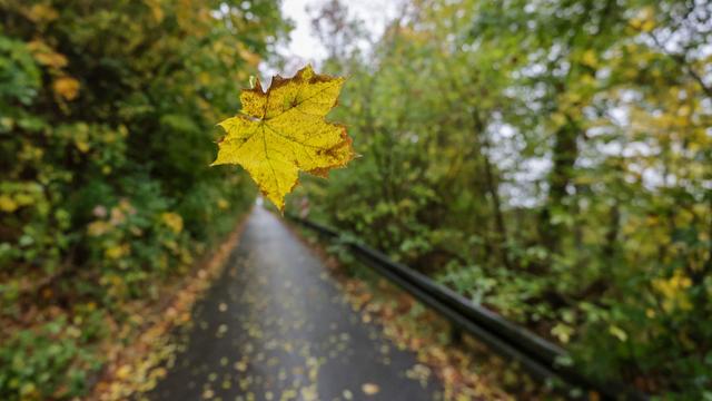 Wetterbericht: So stürmisch, kalt und nass wird das Wochenende im Südwesten