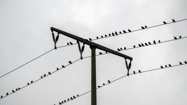 Bild: Wettervorhersage: Nach Regenschauern zeigt sich ein wenig die Sonne