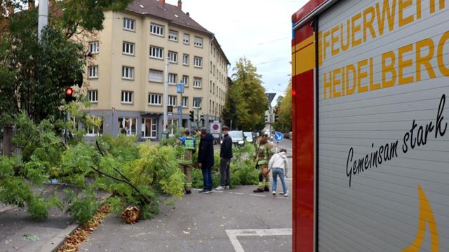 Bild: Unwetterschäden: Sturmtief «Luise» entwurzelt Bäume - Ast trifft Radfahrerin