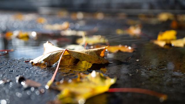 Wettervorhersage: Teils stürmisches und regnerisches Herbstwetter