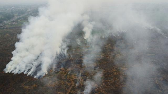 Bild: Feuer auf Borneo und Sumatra: Indonesien lässt Wolken impfen – Regen gegen die Waldbrände