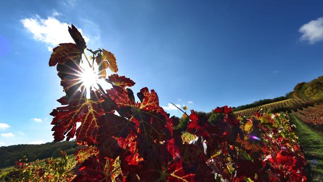 Wetter: Viel Sonne und bestes Ausflugswetter an den Alpen