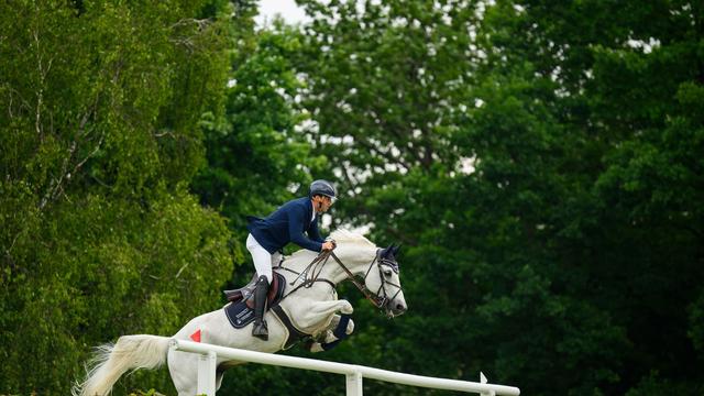 Premier Jumping League: Reitsport: Neue 300-Millionen-Dollar-Serie in Hamburg