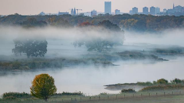 Wetter: Dauernebel und Abkühlung: Hoch bringt trübere Herbsttage