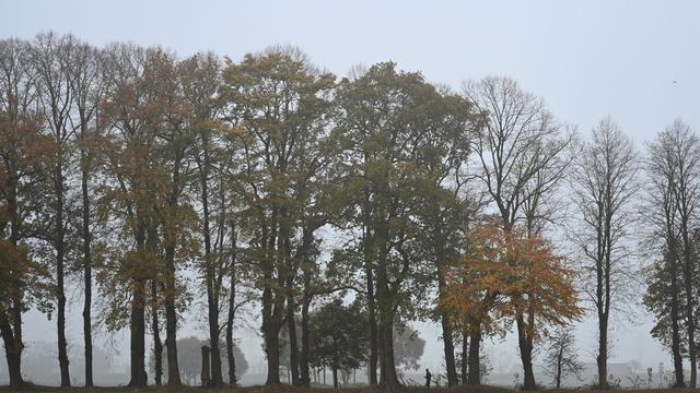 Wetter: Nebel und Hochnebel ab Donnerstagabend