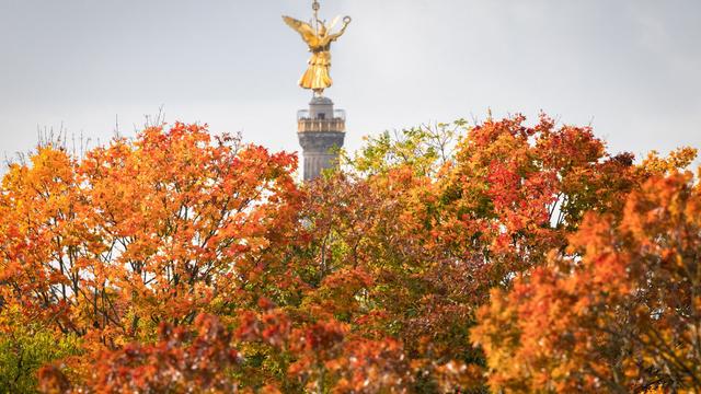 Wetterbilanz: DWD: Oktober war sehr trocken in Berlin und Brandenburg