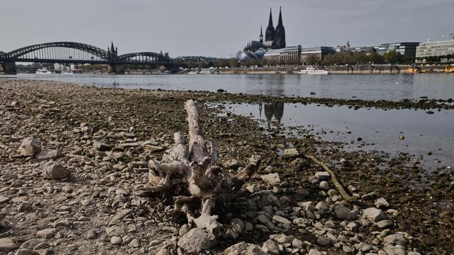 Konjunktur: Wachstum trotz Niedrigwasser: Deutsche Wirtschaft überrascht