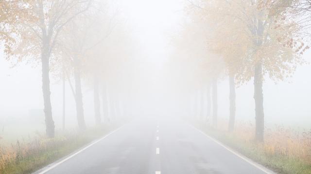 Wetter: Nebliges Halloween-Wochenende in Niedersachsen und Bremen
