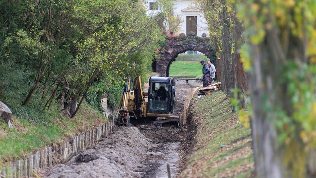 Bild: Gartenreich und Klimawandel: Neue Holzpfähle sichern Gewässerufer im Wörlitzer Park