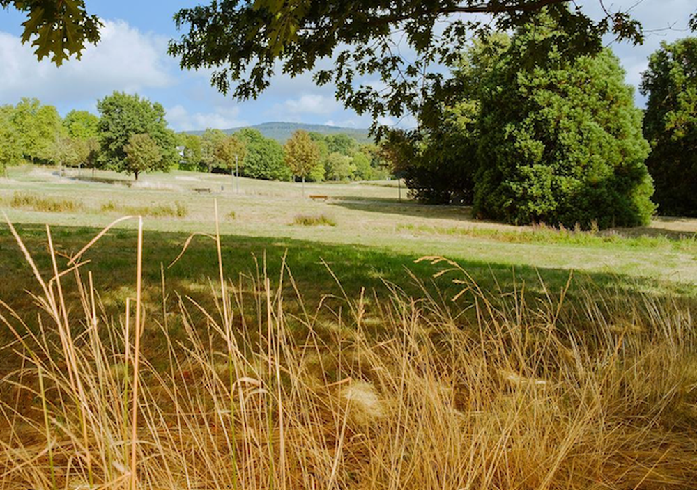 "Was jetzt?"Newsletter Mord in Russland, Angriffe in der Ukraine