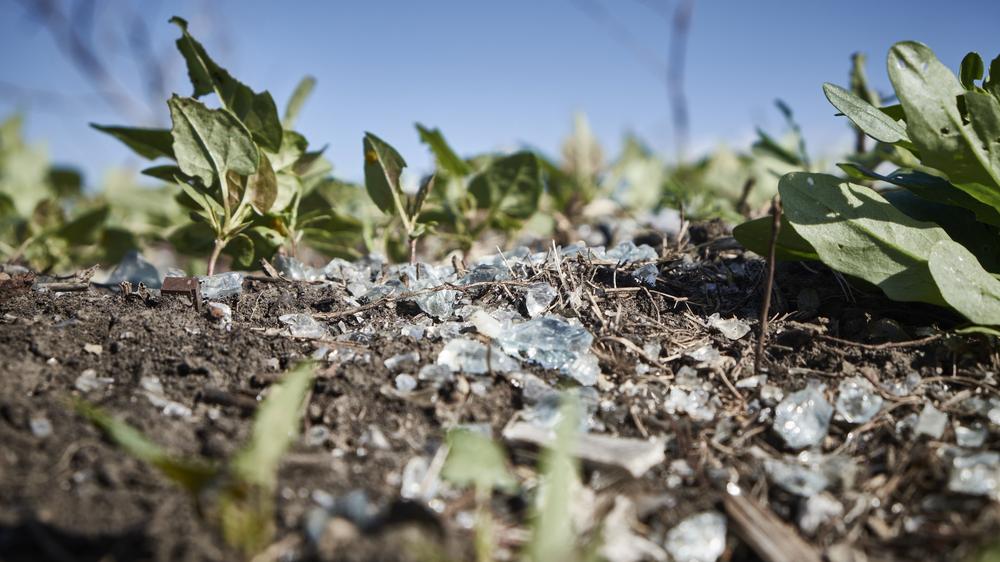 MH17 Absturz Bericht