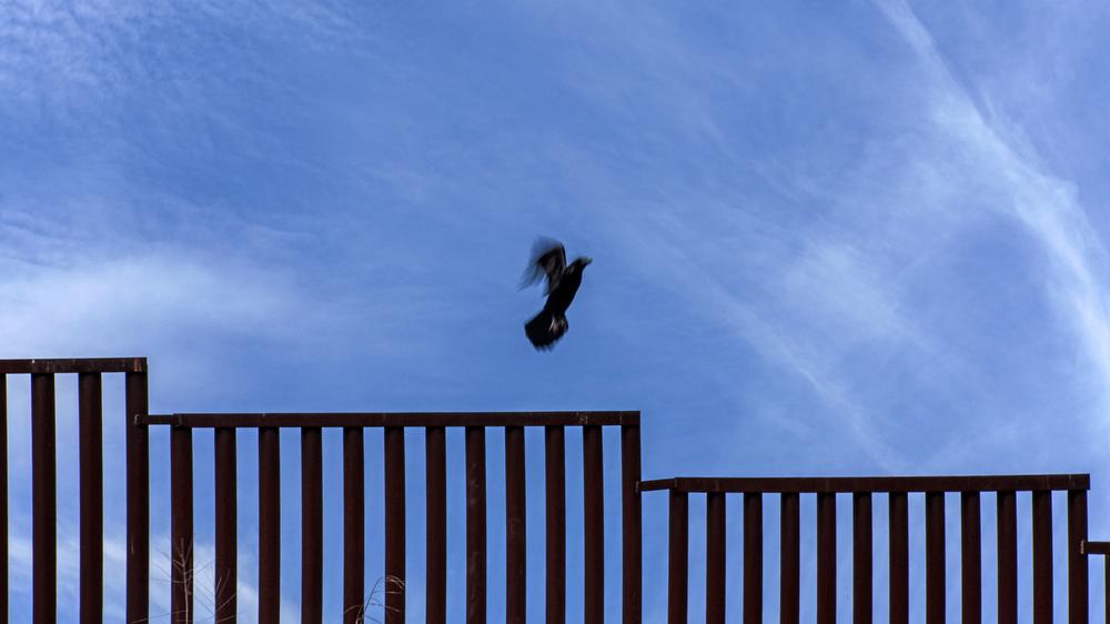 Grenze : Zaun statt Mauer: Die Grenze zu Mexiko ist schon jetzt gut gesichert, so wurde aus einem 100-Meilen-Streifen eine Hochsicherheitszone gemacht.