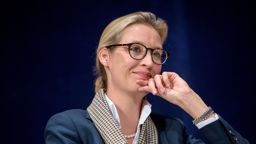 Ich gebe offen und ehrlich zu, Frau Dr. Alice Weidel ist ...