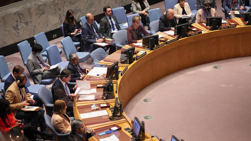 Erklärung des UN-Sicherheitsrats: "Alle gute Sachen wurden aus dem Entwurf gestrichen"