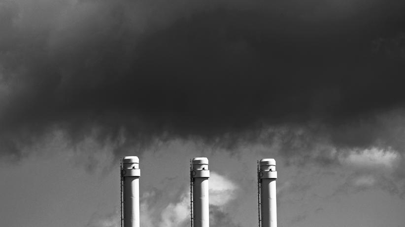 Ileana Grabitz Autoren ZEIT ONLINE