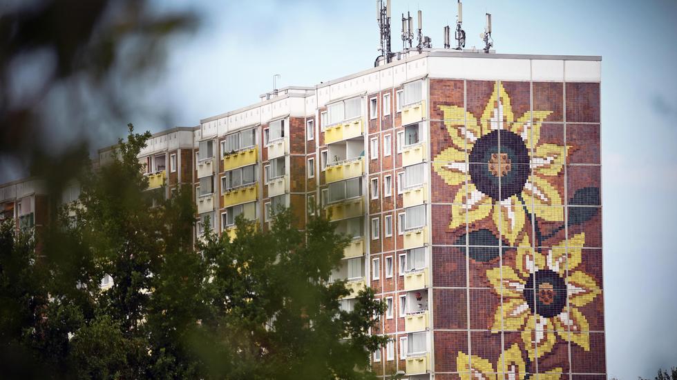 RostockLichtenhagen Mann im Sonnenblumenhaus mit hautreizender