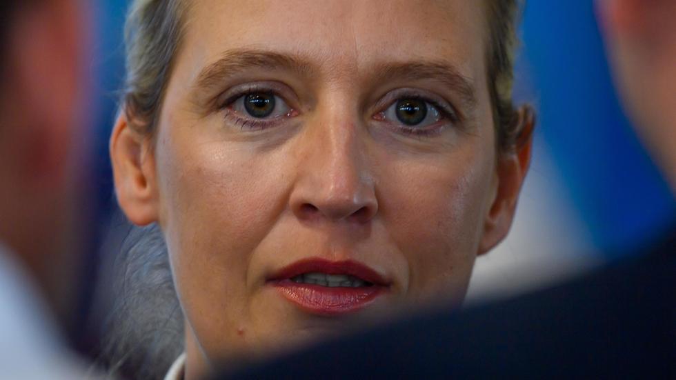 AfD : Alice Weidel sagt Wahlkampftermin ab und fliegt nach Mallorca