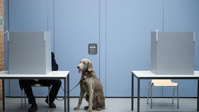 Bundestagswahl: Wiederholungswahl in Berlin ohne größere Verzögerungen angelaufen