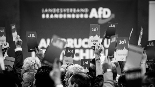 Landtagswahlen: "Die AfD wird immer radikaler – und immer erfolgreicher"