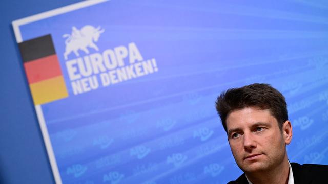 Europaparlament: AfD schließt sich mit anderen Parteien im EU-Parlament zusammen
