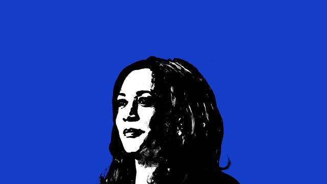 Kamala Harris: Erwählt, aber nicht gewählt 