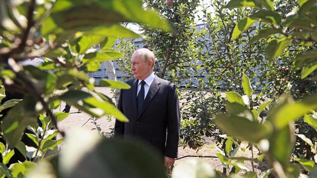 Pawel Durow: Plötzlich ist Wladimir Putin für die Meinungsfreiheit