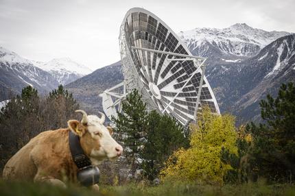 Nachrichtenpodcast: Europe's first solar installation in former satellite dishes is pictured during the inauguration of the solar innovation project at the Leuk Teleport & Data Centre (TDC) this Tuesday, November 15, 2022 in Loeche, Switzerland. The energy supplier CKW is currently installing solar installations in parabolic troughs on the TDC site that can be flexibly aligned to the sun.