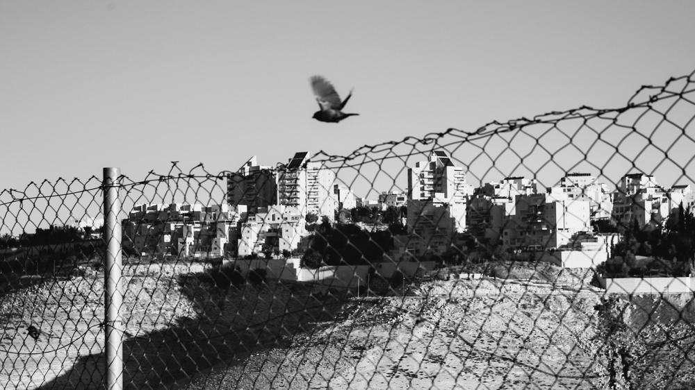 Anerkennung von Palästina: In this Tuesday, Feb. 7, 2017 file photo, Palestinian laborers work at a construction site in a new housing project in the Israeli settlement of Maale Adumim, near Jerusalem. The number of Jewish settlers in the West Bank grew at nearly twice the rate of Israel's overall population in 2017, a settler leader said Monday, predicting that settlement growth should surge even more during the Trump presidency.