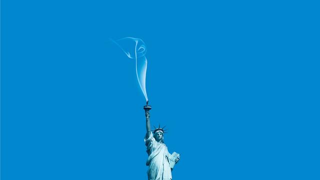 Demokratie in den USA: "Leider lassen sich viele Eliten von Trump einschüchtern"