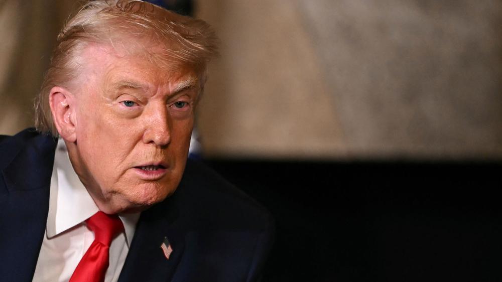  US-Präsident Donald Trump hat auf einer Pressekonferenz die Veröffentlichung von Akten zum Epstein-Fall beklagt.