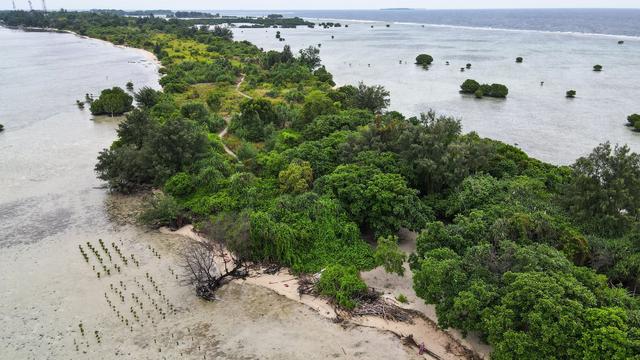 Indonesien: Schweizer Gericht lässt erstmals Klimaklage aus dem Ausland zu