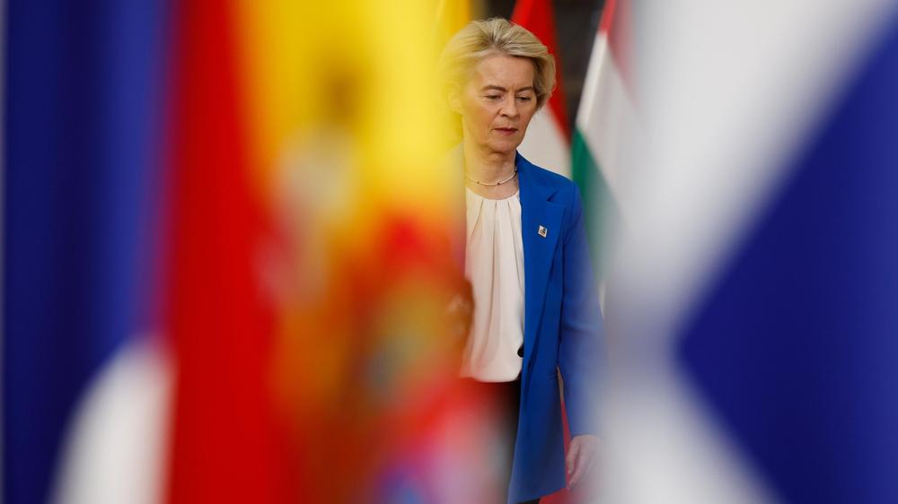  EU-Kommissionspräsidentin Ursula von der Leyen wollte das Mercosur-Abkommen eigentlich bei einem Gipfeltreffen am Samstag in Brasilien unterzeichnen.