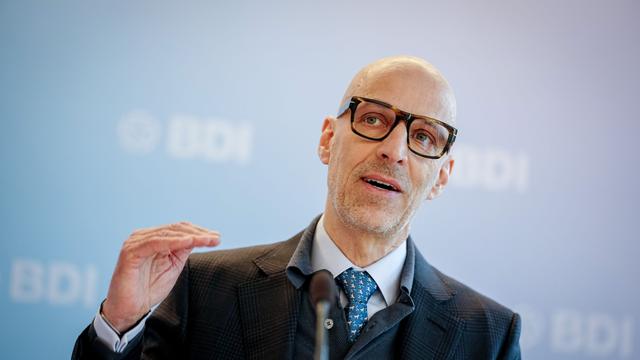 US-Zölle: BDI-Präsident fordert Festhalten an US-Zollabkommen