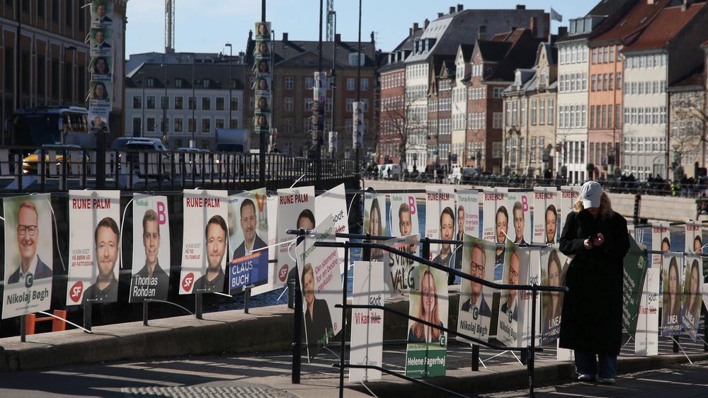  In Dänemark stehen in diesem Jahr zwölf Parteien auf dem Stimmzettel.