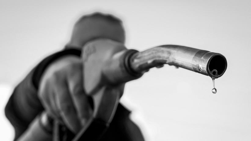 Veronika Grimm: Wut über Spritpreise