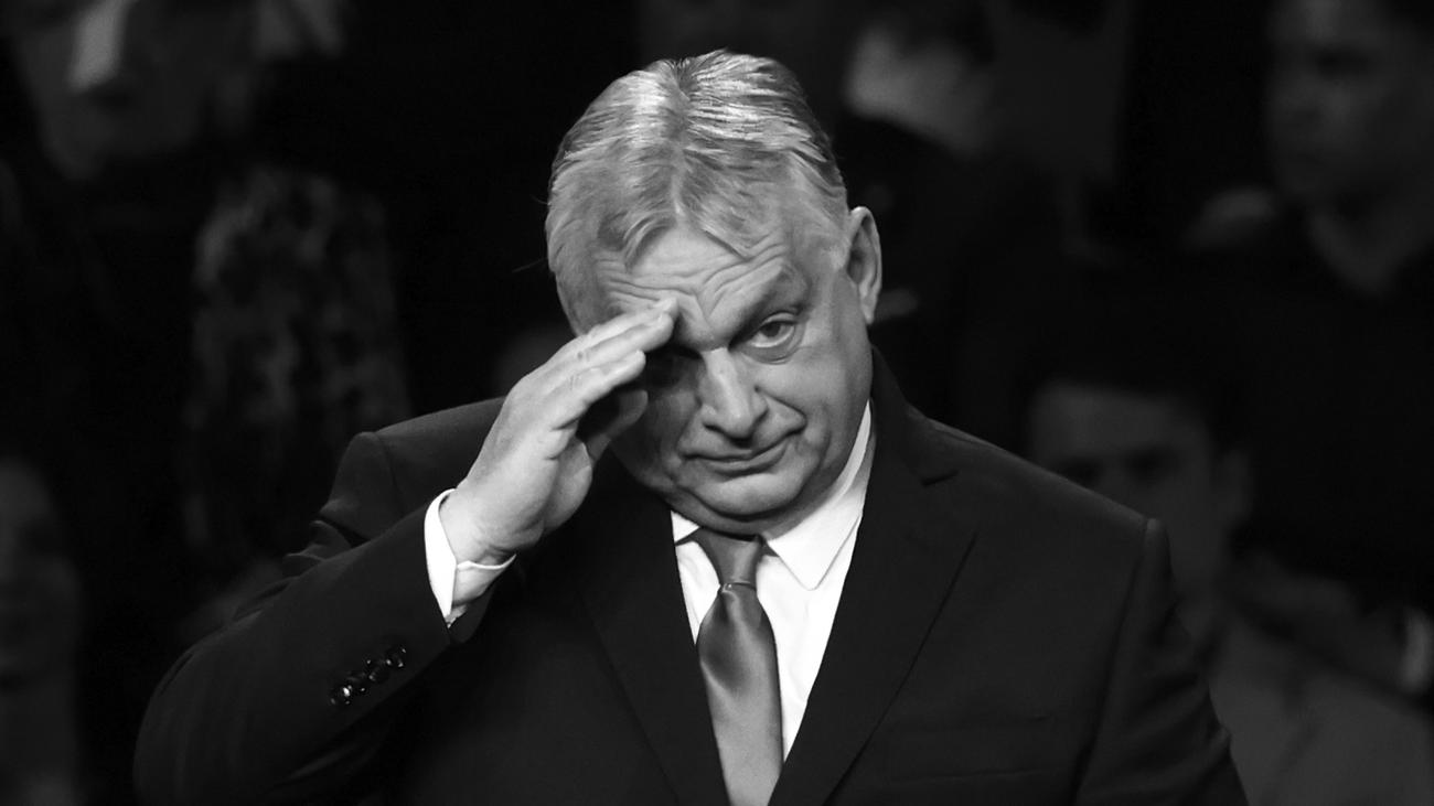 Rechtspopulismus: Die Wut-Wonne der Rechtspopulisten ist vorbei