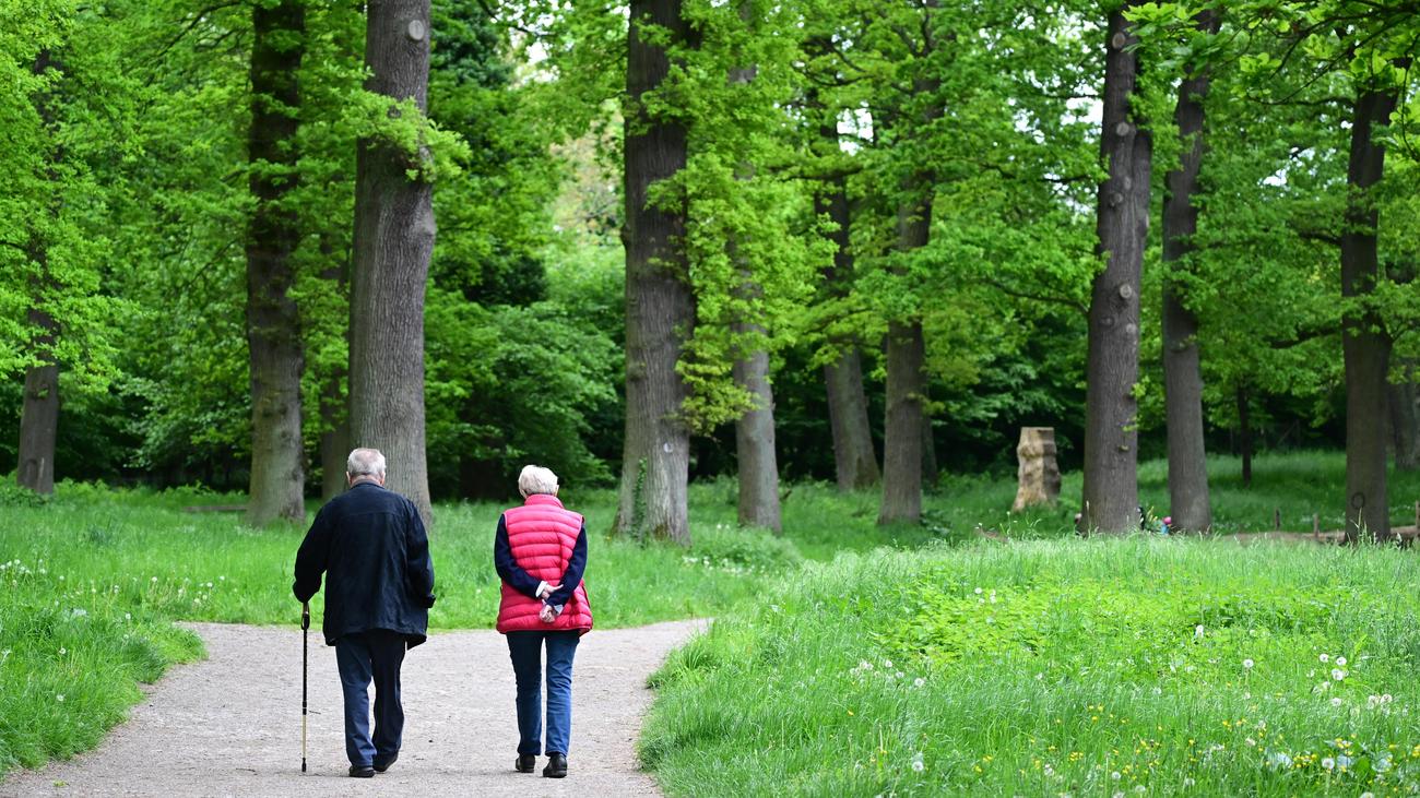 Rente: Kabinett beschließt Erhöhung der Renten um 4,24 Prozent