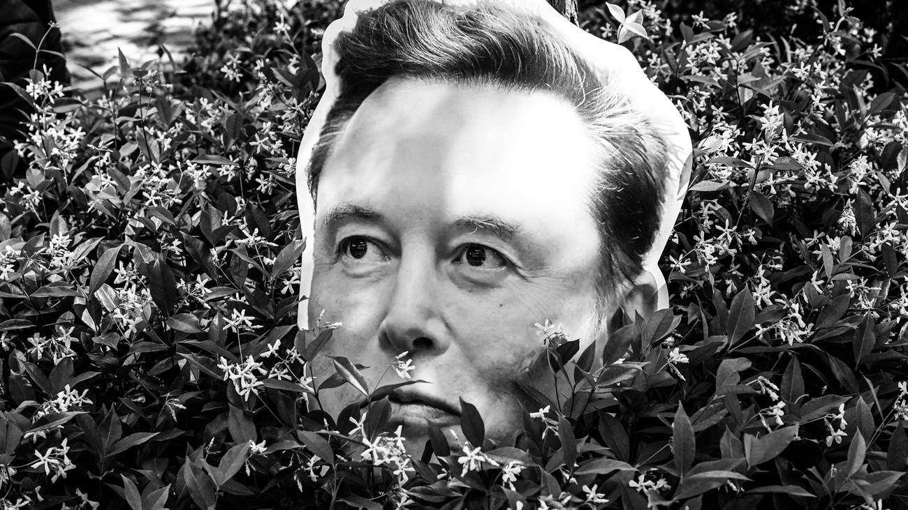 Gerechtigkeit: Elon Musk ist nicht das Problem