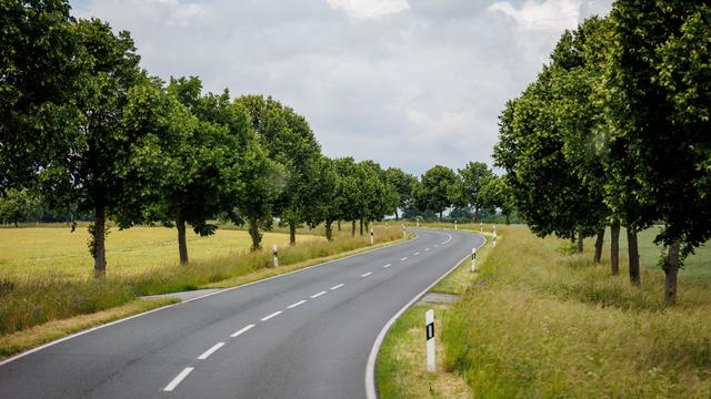 Landratswahl im Saalekreis: Sachsen-Anhalt ist noch nicht verloren, aber ...