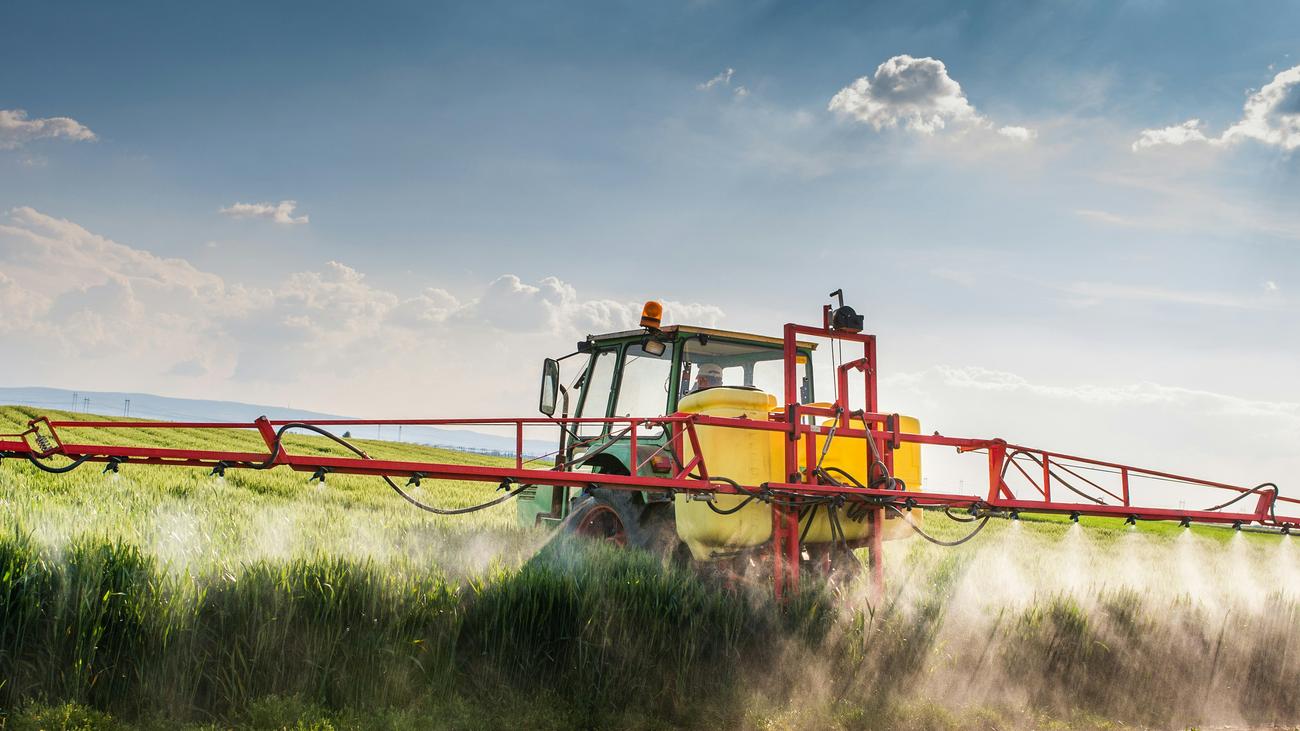 Bayer AG: Jetzt kann wieder was wachsen