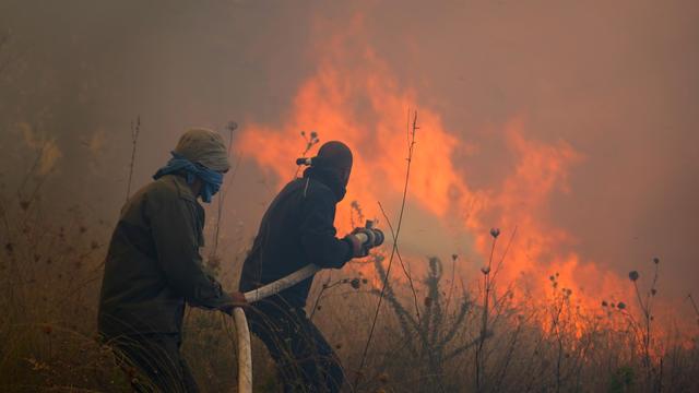 Klimawandel: EU plant bisher größten Einsatz gegen Waldbrände