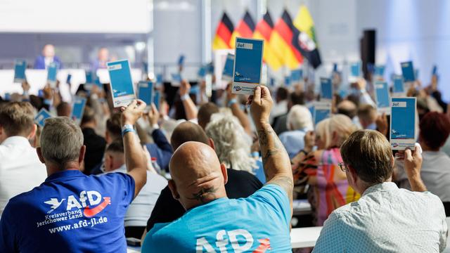 Landtagswahl Sachsen-Anhalt: Wie radikal die AfD Sachsen-Anhalt umbauen will