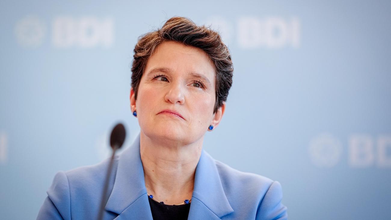 BDI: Industrieverband warnt vor Regierungsbeteiligung von AfD