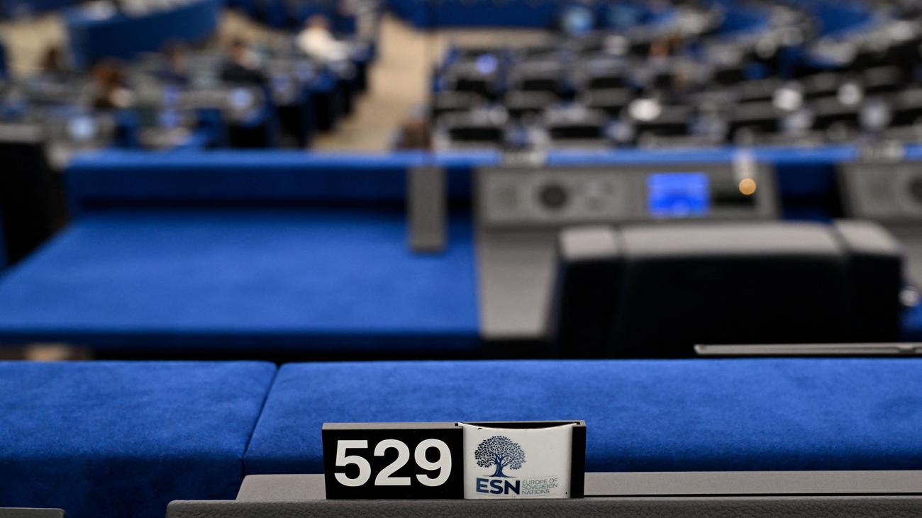 Europäische Union: EU-Parlament stimmt für Prüfverfahren gegen Parteifamilie der AfD