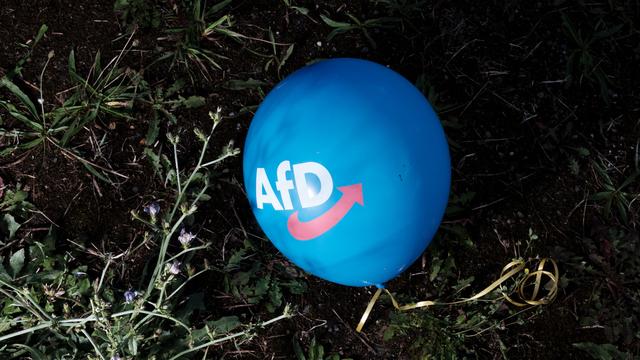AfD’s electoral gains are about status, not just money
