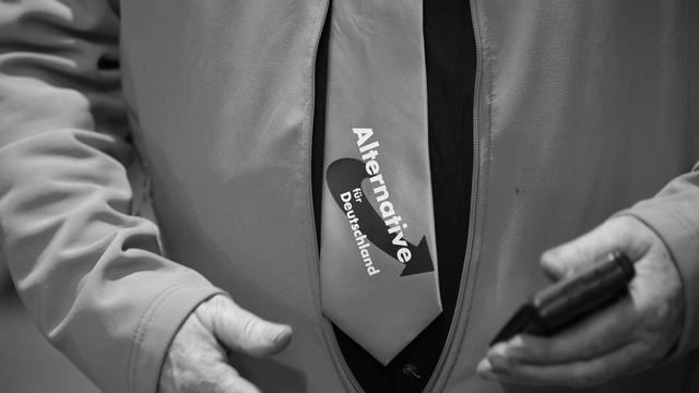 Hacker attack on AfD: What the hacked AfD mails reveal