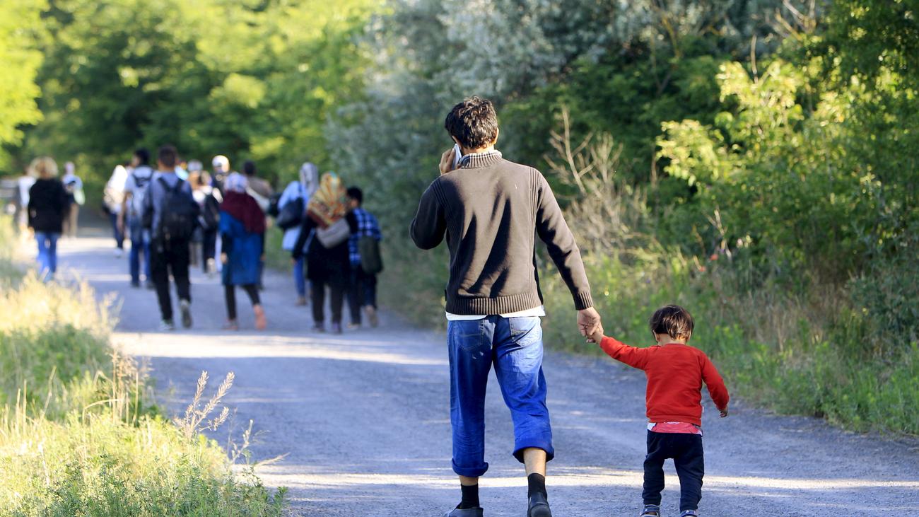 Ungarn: Ein Land zäunt sich ein | ZEIT ONLINE