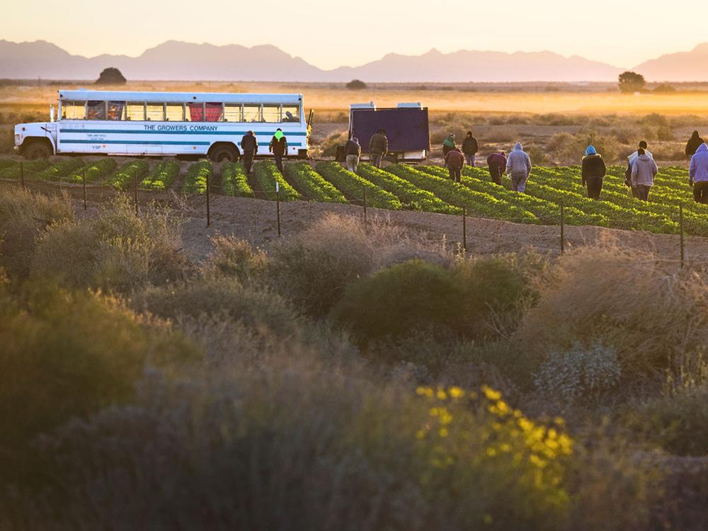 Mauer zu Mexiko Leben an der Grenze ZEIT ONLINE